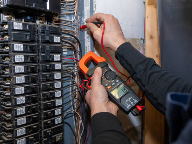 Best Electric Panel Repair  in Immokalee, FL